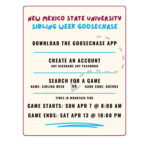 directions for using the goosechase app